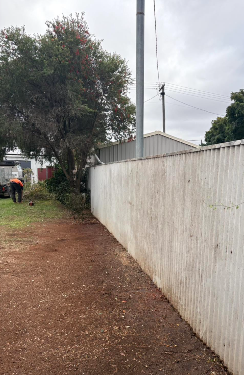 Cleared property boundary after tree work